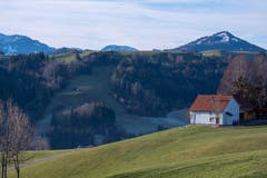 Auf dem Wanderweg zwischen Bühler und Teufen. (Bild: Sandra Häuptli)