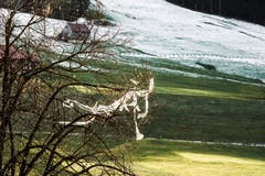 Schneezauberer im Speicher (Bild: Hans-Jörg Nüesch)