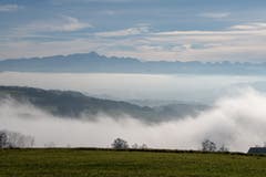 Zauberhaftes Nebelspiel auf dem Greutensberg. (Bild: Thomas Segenreich)