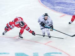 Dante Fabbro vom Team Canada (in rot mit Nummer 8) wurde als linker Verteidiger ins All-Star-Team gewählt (Bild: KEYSTONE/SPENGLER CUP/MELANIE DUCHENE)
