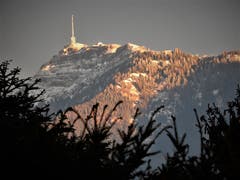 Die wunderschöne und sehr beliebte Königin der Berge, aufgenommen von Meggen. (Bild: Margrith Imhof-Röthlin)