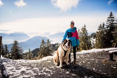 Mit den Bernhardinern auf einer Winterwanderung auf der Rigi. (Bild: Roger Grütter, 1. Dezember 2018)