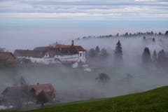 Der Abendnebel lichtet sich auf Notkersegg. (Bild: Franz Häusler)