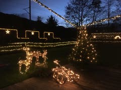 Ein Weihnachtsgarten (Bild: Rita Jenni (Malters, 6. Dezember 2018))