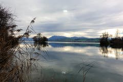 Am Sempachersee, beim Seetrichter Mariazell (Bild: Josef Habermacher (Sursee, 7. Dezember 2018))