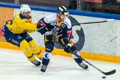 Reto Suri schirmt die Scheibe vor Magnus Nygren ab. (Bild: Alexandra Wey/Keystone (Zug, 8. Dezember 2018))
