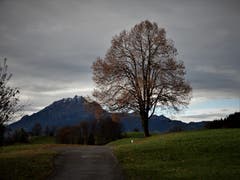 Herrliche Temperaturen zum Wandern mitten im Dezember. Aufgenommen an der Spissenstrasse in Meggen. (Bild: Margrith Imhof-Röthlin (Meggen, 7. Dezember 2018))