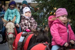 Eselireiten um den Rathausbrunnen steht bei den Kindern hoch im Kurs. (Bild: Reto Martin)