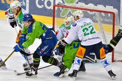 Die Zuger Sven Senteleler, Torhüter Sandro Aeschlimann und Santeri Alatalo, von links in Weiss. bei der Abwehr gegen die Davoser Thierry Bader, Dino Wieser, von links. Der HC Davos und der EV Zug spielen heute nicht in ihren Clubfarben sondern der HCD in grün-blauen und Zug in grünen-weissen Trikots, den Farben der "Greenhope" Stiftung. Die junge Stiftung sammelt Spenden für krebskranke Kinder. Dies ist bereits der dritte Event dieser Art in Davos. (Bild: KEYSTONE/Juergen Staiger, 9. Dezember 2018)