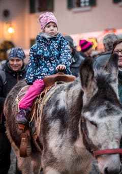 Herdern TG - Impressionen vom Weihnachtsmarkt 2018 im Schloss Herdern.
