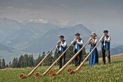 Auf dem Bild zu sehen ist das Quartett der ABV Luzern. (Bild: Pius Amrein (Neue LZ))