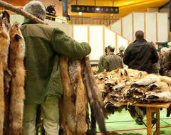 Fäälimärt Sursee (Bild: Dominik Wunderli / Neue LZ)