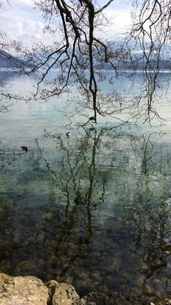 Cham am See, Richtung Rigi. (Bild: Daniel Bürkler)