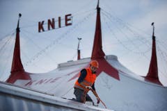 Die Aufbauarbeiten des Circus Knie auf dem Stierenmarktareal (Bild: Stefan Kaiser)
