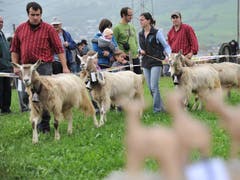 Bild: Urs Hanhart / Neue UZ