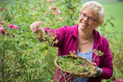 Romana beim Einsammeln von Kräutern. (Bild: Dominik Wunerli / Neue LZ)