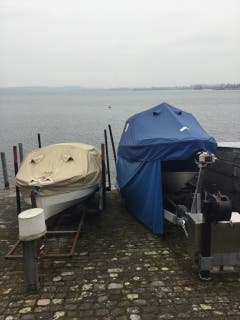 Winterschlaf... Ob sie vom nächsten Sommer träumen? (Bild: Beatrice Räber)