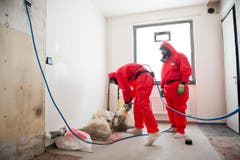 Die Spezialisten während der Arbeiten. (Bild: Boris Bürgisser/ Neue LZ)