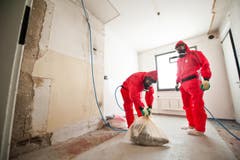 Die Spezialisten bei den heiklen Arbeiten. (Bild: Boris Bürgisser/ Neue LZ)