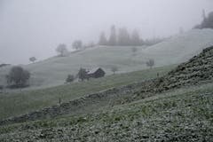 Eine feine Schicht Schnee bedeckt die Hügel auf rund 500m über Meer oberhalb von Stans. (Bild: Keystone)