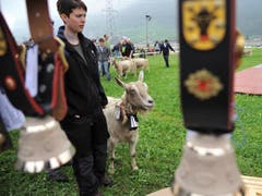 Bild: Urs Hanhart / Neue UZ