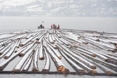 Unfallfrei und störungsfrei schoben die teilweise verbeulten Boote der Förster 600 Tonnen durch Nebel über den spiegelnden See. (Bild: Maria Schmid / Neue ZZ)