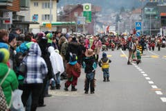 Wylägerer Narrenfasnacht (Bild: Roger Zbinden / Neue LZ)