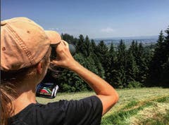 Auf dem Zugerberg: Hiking and bird watching on a mountain in Switzerland (Wandern und Vögel beobachten auf einem Berg in der Schweiz) (Bild: orp134 / Spanien)