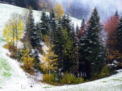 Winterlicher Herbst auf dem Steinhuserberg (Bild: Leser Josef Lustenberger)
