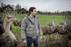 Bild: Pius Amrein (Neue LZ)