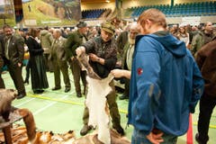 Fäälimärt Sursee (Bild: Dominik Wunderli / Neue LZ)