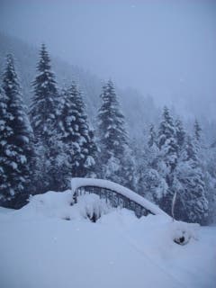 Schnee auf Sattel-Hochstuckli (Bild: Leser Dieter Brendel)