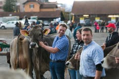 Gute Laune bei den Züchtern. (Bild: Roger Zbinden / Neue ZZ)