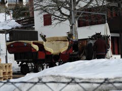 «Pferdestärken waren eine wunderbare Sache, als es nur die Pferde hatten». So ein umweltfreundliches «Taxi-Angebot» gibt es noch auf der Rigi. (Bild: Margrith Imhof-Röthlin)