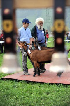 Bild: Urs Hanhart / Neue UZ
