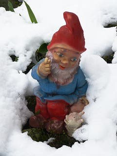 Liebe Schnecke, verkriech dich wieder! Der Winter ist zurück. Ich friere auch. (Bild: Josef Lustenberger)