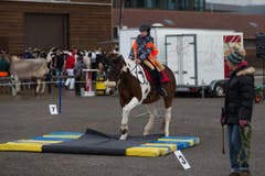 Rahel Bachmann mit Eira beim Geschicklichkeitparcours. (Bild: Roger Zbinden / Neue ZZ)