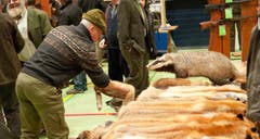 Fäälimärt Sursee (Bild: Dominik Wunderli / Neue LZ)