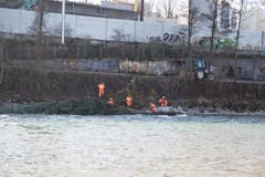 Arbeiter verankern die Bäume mit Stahlseilen. (Bild: Manuela Jans / Neue LZ)