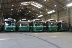 Fünf der zehn Ex-Luzerner stehen im Busdepot. (Bild: Samuel Fuentes, Valparaiso)