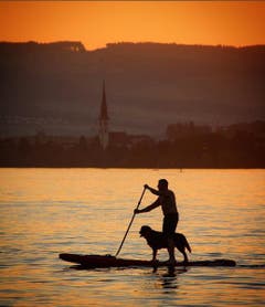 Auf dem Zugersee: A man and his best friend. Gliding through the sunset (Ein Mann und sein bester Freund gleiten durch den Sonnenuntergang) (Bild: belogradski / Serbien)