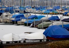 Seltenes Bild im Segelboothafen Tribschenhorn: Schiffe im Winterschlaf - eingepackt und quasi konserviert im Eis! (Bild: Heinz Schürmann)