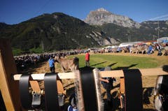 Bild: Urs Hanhart / Neue UZ