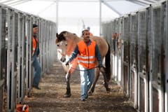 Für zwei Tage ist der Zirkus Knie in Zug. (Bild: Stefan Kaiser (Neue ZZ))