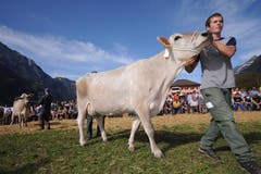 Bild: Urs Hanhart / Neue UZ