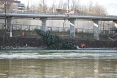 Die im Wasser liegenden Bäume sogen für geringe Strömung. Ideal für frisch geschlüpfte Jungfische. (Bild: Manuela Jans / Neue LZ)