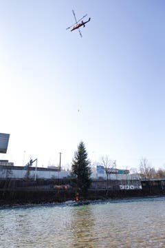 Die Tanne wird am Ufer abgesetzt. (Bild: Manuela Jans / Neue LZ)