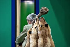 Ein Aussteller am Fellmarkt. (Bild: Pius Amrein (Neue LZ))