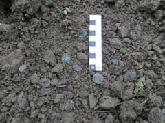 Insgesamt wurden bei der Begehung des Pfarrmättelis mit dem Metalldetektor über 50 Münzen italienischer Prägung aus der Zeit um 1560 geborgen. (Bild: PD)