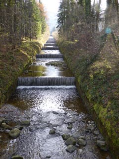 Der manchmal wilde Ränggbach bei Kriens wird durch viele Schwellen gebändigt (Bild: Hans Scheidegger)